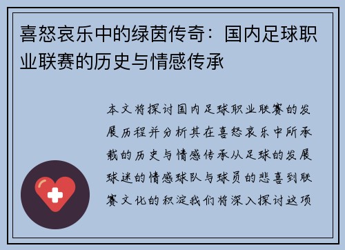 喜怒哀乐中的绿茵传奇：国内足球职业联赛的历史与情感传承
